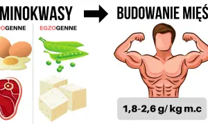 Białko dla sportowców: Ile g/kg m.c. na masę i redukcję?