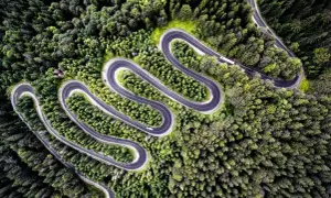 Widok z lotu ptaka na serpentynową drogę wijącą się przez gęsty las.