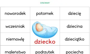 Zbiór konglomerat: najciekawsze synonimy i przykłady użycia