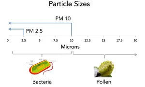 PM10 co to? Wykres porównuje rozmiary cząstek: PM2.5 (do 2.5 mikrona), PM10 (do 10 mikronów), bakterie (ok. 1-10 mikronów) i pyłki (ok. 10-50 mikronów).