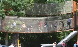 Rodziny bawią się na wielopoziomowych kładkach z siatki, zjeżdżalni i drabinkach. To z pewnością najlepszy park linowy w Polsce!