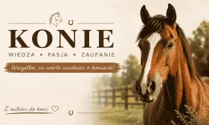 Piękny koń kasztanowy z białą strzałką na czole. Grafika z napisem "Konie" i hasłem "Wszystko, co warto wiedzieć o koniach!". Różne rodzaje koni i ich piękno.