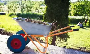 Dwukołowa taczka ogrodowa z metalową skrzynią pełną gałęzi, gotowa do pracy w słoneczny dzień.