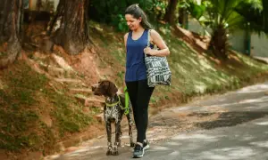Frau geht mit Hund spazieren, ein toller Weg, um den Kalorienverbrauch beim Spazierengehen zu steigern und die Natur zu genießen.