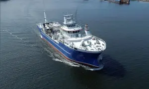 Transport ryb znad morza: 0-2°C to klucz do świeżości!