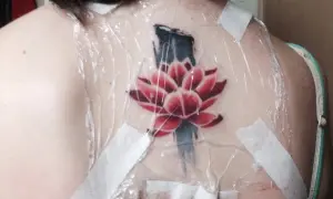 Flor de loto roja y azul recién tatuada en la espalda, cubierta con plástico y cinta. Preguntándose cuanto tarda en cicatrizar un tatuaje.