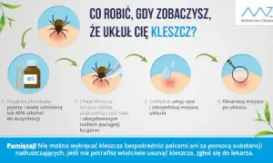 Jak zapobiec boreliozie? Twój kompletny poradnik ochrony przed kleszczami