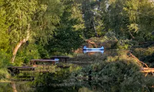 Niebieska łódź czeka na brzegu zwalonego drzewa. Jezioro zmarłe, otoczone bujną zielenią, odbija światło.