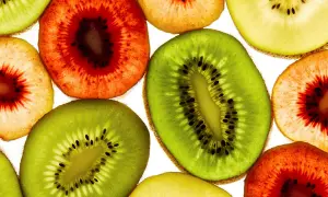 Skivor av kiwi, både gröna och rödaktiga, lyser upp. En påminnelse om att kiwi nyttigt och gott!