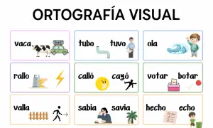 Ortografía visual: vaca, tubo, tuvo, ola, rallo, calló, cayó, votar, botar, valla, sabia, savia, hecho, echo.