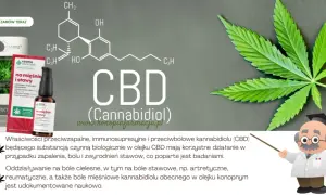Jaki olejek na ból stawów? Naturalne sposoby na ulgę w bólu