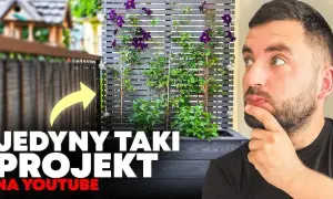 Donica z pergolą DIY: Kompletny przewodnik krok po kroku