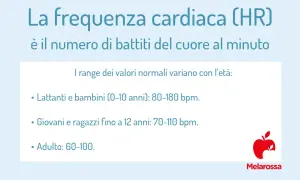 Frequenza cardiaca: lattanti e bambini 0-10 anni arrivano a 180 battiti al minuto sotto sforzo. Giovani e adulti hanno valori inferiori.