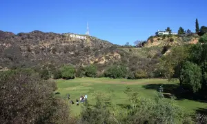En grönskande park med människor som njuter av solen, med den ikoniska hollywood skylten i bakgrunden mot en klarblå himmel.