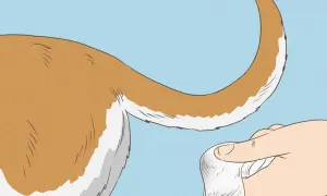 Mano tocando la cola de un perro, posiblemente para evaluar si sufre del síndrome de la cola fría.