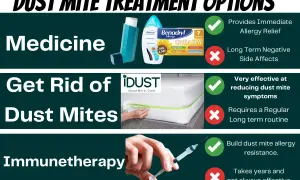 Mattress encasement to combat dust mites, alongside medicine and immunotherapy options for allergy relief.