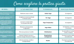 Guida ai diversi tipi di yoga: Hatha, Yin, Terapeutico, Nidra, Meditazione, Respirazione, Mudra. Scegli la pratica giusta per te.