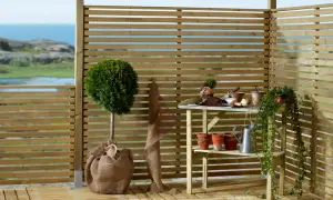 En altan med insynsskydd i trä. En rundtopiary, krukor, en vattenkanna och trädgårdsredskap står uppradade.