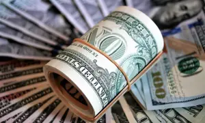 Zwinięte banknoty dolarowe, gotowe na opłacenie czynszu.