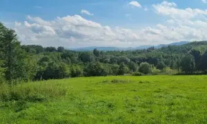 Najlepsze atrakcje w Dębowcu, które musisz zobaczyć podczas wizyty