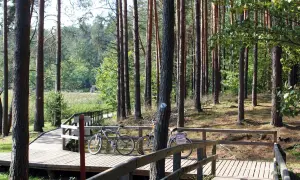 Drewniane kładki i dwa rowery na ścieżce w lesie. Idealne miejsce na odkrywanie tras rowerowych Zwierzyniec.