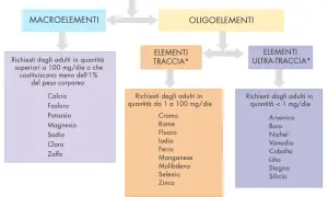 Schema sui sali minerali: macroelementi, oligoelementi, elementi traccia e ultra-traccia, con esempi di minerali essenziali per l'organismo.