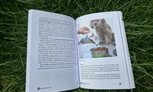 Szczeniak dostaje karmę z miarki do miski. Dowiedz się, czym karmić szczeniaka, by był zdrowy.