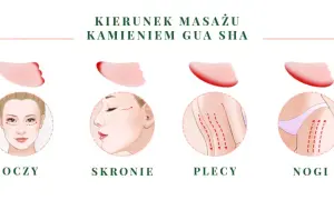 Ilustracja pokazuje kierunki masażu kamieniem gua sha na oczy, skronie, plecy i nogi.