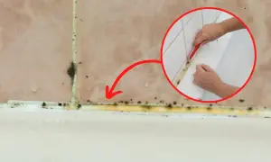 Usuwanie pleśni z silikonu w łazience. Zobacz, czym rozpuścić silikon i pozbyć się grzyba.