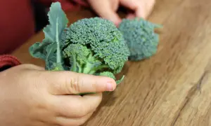 Kleine Hände halten frischen Brokkoli. Ab wann darf ein Baby Brokkoli essen?