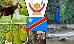 Flaga Konga: Jak odróżnić DRK od Republiki? Przewodnik po symbolice