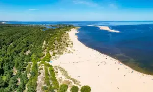 Szeroka, piaszczysta dzika plaża z zielonym lasem sosnowym w tle i błękitnym morzem.