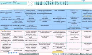 Tabela żywienia 7-miesięcznego dziecka: propozycje posiłków na każdy dzień, w tym omlety, placki i zupy.