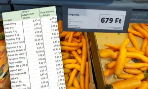 Ile forintów kosztuje obiad na Węgrzech? Ceny, które zaskoczą!