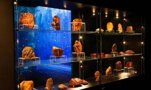 W Muzeum Bursztynu w Gdańsku zobaczysz bursztyny. Sprawdź muzeum bursztynu gdańsk cena biletu, by zaplanować wizytę.