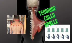 Anatomia muscolare e scheletrica del collo e delle spalle, con frecce rosse che indicano punti di dolore e un grafico sulla tensione muscolare collo.
