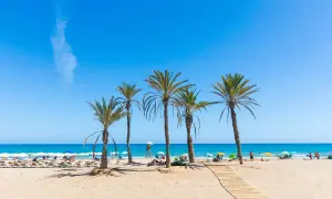 Słoneczna plaża w Hiszpanii, palmy, turkusowe morze i piasek. Idealne miejsce na wakacje.