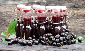 Aronia-Saft in Bügelverschlussflaschen, frisch geerntete Aroniabeeren daneben. So lassen sich Aroniabeeren verarbeiten.