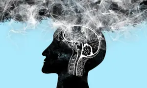 Silhouette di un profilo umano con un cervello disegnato all'interno. Fumo bianco vorticoso suggerisce la paura dei propri pensieri.