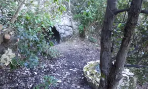 Sentiero che conduce alla grotta del mortarolo, tra vegetazione e rocce.