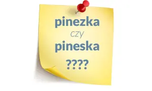 Żółta kartka z napisem "pinezka czy pineska ????", przyczepiona czerwoną pinezką.