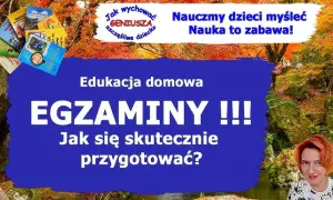 Edukacja domowa w technikum: Jak zdać egzaminy i zdobyć zawód?