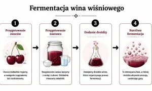 Proces tworzenia domowego alkoholu z wiśni: od przygotowania owoców, przez nastaw, dodanie drożdży, aż po burzliwą fermentację.