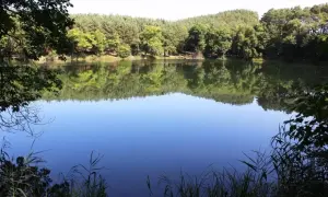 Spokojne jezioro serce natury, odbijające zielony las i błękitne niebo.
