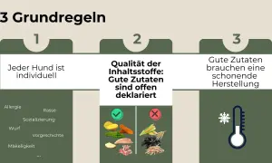 Drei Regeln für die ideale Zusammensetzung von Hundefutter: Individuelle Bedürfnisse, offene Deklaration guter Zutaten und schonende Herstellung.
