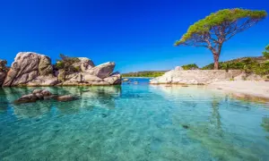 Klares, türkises Wasser an einem Strand mit Felsen und einem Baum. Ein Ort, wo es Ende Oktober noch warm ist.