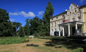 Pałac w Witaszycach, dawniej hotel, otoczony zielenią. Na trawniku leży zabytkowa armata.