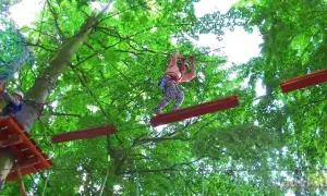 Park Linowy Władysławowo Cennik: Od 30 zł! Jak zaoszczędzić?
