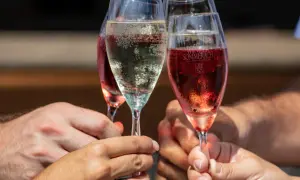 Brindisi con bollicine dorate e rosate, il champagne significato di festa e gioia.