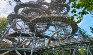 Niesamowita konstrukcja do spaceru w koronach drzew, przypominająca spiralę, z widokiem na Tatry.